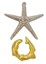 Eureka 473703 Cast Starfish Denizyıldızı Puzzle