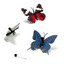 Kelebek Koleksiyonu - Mantar Pano İğnesi Seti - 9'lu Set MB275