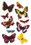 Herma Çocuk Etiketleri Renkli Kelebekler 6388
