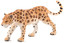 Animal Planet 387018 Orman Vahşi Hayat Leopar Large Figür