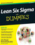 Lean Six Sigma For Dummies (For Dummies (Lifestyles Paperback))