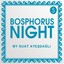 Bosphorus Night 5 by Suat Atesdagli SERI
