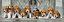 Clementoni 1000 Parça Puzzle Panorama - Beagles  39076.2