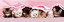 Clementoni 1000 Parça Puzzle Panorama - Kittens Under Blanket 39127.1
