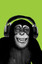 Pyramid International Maxi Poster - Chimpanzee Headphones