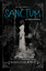 Sanctum (Asylum- Book 2)