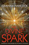 The Divine Spark: Psychedelics Consciousness And The Birth Of Civilization