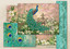 Art Puzzle Bahçemin İncisi 2000 Parça Puzzle