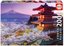 Educa 16775 Mount Fuji Japan 2000 Parça Puzzle