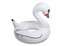 Bigmouth White Swan BMPF-WS