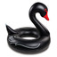 Bigmouth Black Swan BMPF-BS