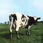 Atom Heart Mother (2016 Edition)