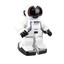 Silverlit Echo Bot IR88308 Oyuncak Robot
