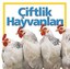 Çiftlik Hayvanları