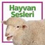 Hayvan Sesleri