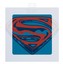 T-shirt Frocx Superman Logo Erkek - L