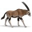 Papo-Figür Oryx Antilop 50139