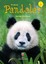 Pandalar-İlk Okuma