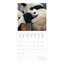Legami Takvim Panda Love 30x29 2018