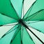 Fare Şemsiye Yeşil