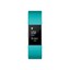 Fitbit Charge 2 Teal Silver Large