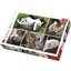 Trefl 26145 Just Cat Things Collage 1500 Parça Puzzle