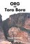 ORG ve Tora Bora