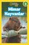 Mimar Hayvanlar-Seviye 3-National Geographic Kids
