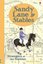 Sandy Lane Stables Strangers at the Stables (Young Reading) (Young Reading Plus)