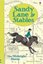 Sandy Lane Stables - The Midnight Horse (Young Reading) (Young Reading Plus)
