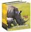 National Geographic Kids-Afrika'da Safari Seti-5 Kitap Takım