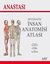 Anastasi-Sistematik İnsan Anatomisi Atlası