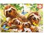 Educa 18450 Sloth Family Selfie 500 Parça Puzzle