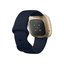 Fitbit Versa 3 Gece Mavisi Altın Akıllı Saat