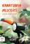 Kanatların Melodisi - Kuşların Gizemli Dünyası Cezve Ansiklopedi