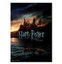 Harry Potter Wizarding World Deathly Hallows Part 1 Hogwarts Poster