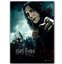Harry Potter Wizarding World Deathly Hallows Part 1 Severus Snape Poster