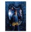 Harry Potter Wizarding World Hogwarts Karakter Harry Poster