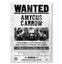 Harry Potter Wizarding World Wanted Amycus Carrow Poster