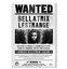 Wizarding World   Harry Potter Poster   Wanted Bellatrix Lestrange B.