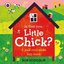 Is that you Little Chick?: A pull and slide flap book 