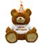 Neco Plush Oturan Happy Birthday Peluş Ayı 60 cm