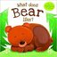 What Does Bear Like?