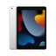 Apple 10.2-inch iPad Wi-Fi + Cellular 256GB Gümüş MK4H3TU/A