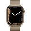 Apple Watch Series 7 GPS + Cellular 45mm Gold Stainless Steel Case with Gold Milanese Loop MKJY3TU/