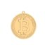 Chocli 18 Ayar Altın Kaplama Bitcoin Ayarlanabilir Kolye