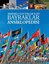 Bayraklar Ansiklopedisi-Meraklı Çocuklar İçin