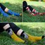 Biggdesign Kadın Soket Çorap Seti
