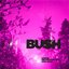 Bush Loaded: The Greatest Hits 1994-2023(Cloudy Clear Vinyl) Plak