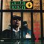 Public Enemy It Takes A Nation Of Millions To Hold Us Back (35th Anniversary Edition) Plak